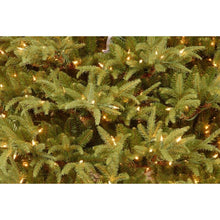 Load image into Gallery viewer, Feel Real Frasier Pre-Lit 7.5&#39; Green Fir Christmas Tree with 1000 Clear/White Lights
