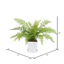 Load image into Gallery viewer, Fern Plant in Planter - 345CE
