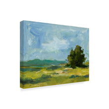 Load image into Gallery viewer, 24&quot; H x 32&quot; W x 2&quot; D Field Color Study II by Ethan Harper - Wrapped Canvas Print 6254RR
