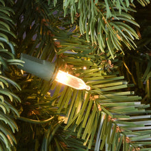 Load image into Gallery viewer, Fir Wreath Lighted PVC Wreath, 24&quot; H x 24&quot; W x 5&quot; D
