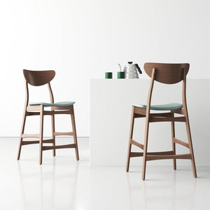 Fitz 24" Counter Stool (Set of 2) 5244RR