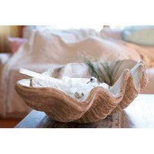 Load image into Gallery viewer, Flinn Seashell Sculpture 1010CDR
