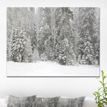 Load image into Gallery viewer, 20&quot; H x 40&quot; W x 1&quot; D Foggy Winter Forest Panorama - Wrapped Canvas Photograph
