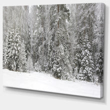 Load image into Gallery viewer, 20&quot; H x 40&quot; W x 1&quot; D Foggy Winter Forest Panorama - Wrapped Canvas Photograph
