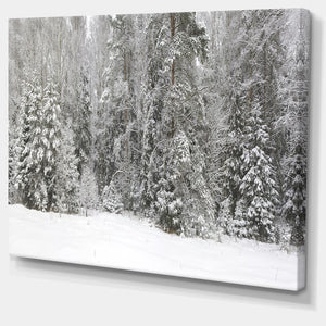 20" H x 40" W x 1" D Foggy Winter Forest Panorama - Wrapped Canvas Photograph