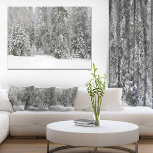 20" H x 40" W x 1" D Foggy Winter Forest Panorama - Wrapped Canvas Photograph