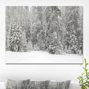 20" H x 40" W x 1" D Foggy Winter Forest Panorama - Wrapped Canvas Photograph