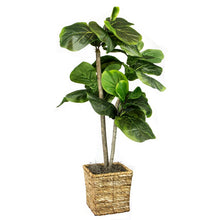 Load image into Gallery viewer, Foliage Tree in Basket: peony   7384
