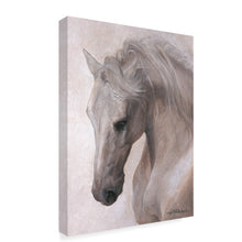 Load image into Gallery viewer, 32&quot; H x 24&quot; W x 2&quot; D Free Spirit White Horse by Lee Mitchelson - Print on Canvas
