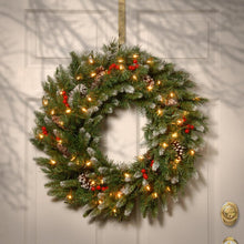 Load image into Gallery viewer, 30&quot; Frosted Berry Lighted PVC Wreath
