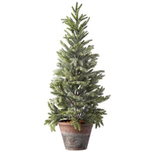 Load image into Gallery viewer, Frosted Spruce Cedar Tree in Pot (Set of 2) OG345
