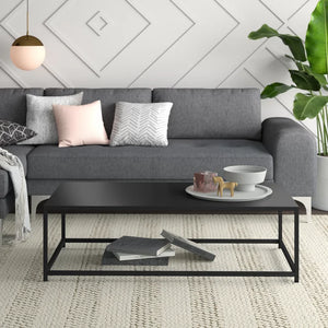Galan Frame 1 Coffee Table, 14'' H x 48'' L x 24'' D
