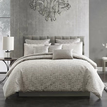 Load image into Gallery viewer, Queen Comforter + 8 Additional Pieces Genoa Gray Microfiber Comforter Set
