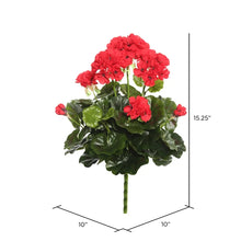 Load image into Gallery viewer, Geranium Bush 39"

