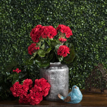 Load image into Gallery viewer, Geranium Bush 39"
