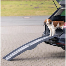 Load image into Gallery viewer, Glendale Petwalk 3-Fold 59&quot; Pet Ramp

