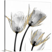 Load image into Gallery viewer, 24&quot; H x 24&quot; W x 1.25&quot; D Gold Embellished Tulips 2 by Albert Koetsier Painting on Canvas
