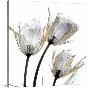 24" H x 24" W x 1.25" D Gold Embellished Tulips 2 by Albert Koetsier Painting on Canvas