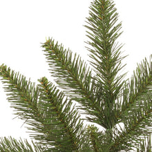 Load image into Gallery viewer, Grand Teton Artificial Camdon Fir Garland, 9&#39; H x 12&quot; W

