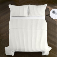 Load image into Gallery viewer, Twin Quilt + 1 Sham White Halina Reversible Quilt Set (ND87)
