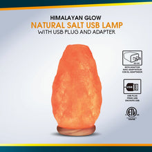 Load image into Gallery viewer, Hand Carved 3.5 Ibs Salt Lamp (1216ND)
