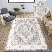Load image into Gallery viewer, Hector Machine Woven Performance Ivory Rug 5 x 7
