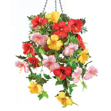 Load image into Gallery viewer, Hibiscus in Basket
