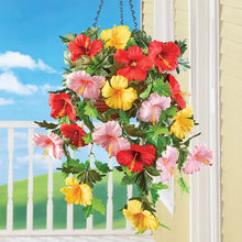Load image into Gallery viewer, Hibiscus in Basket
