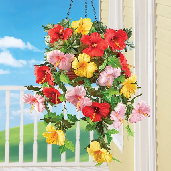 Hibiscus in Basket