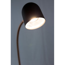 Load image into Gallery viewer, Hoban 51&quot; LED Reading Floor Lamp
