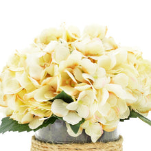 Load image into Gallery viewer, Hydrangea Stem in Rope Glass Vase
