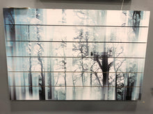 Load image into Gallery viewer, &#39;Wild Trees&#39; by Parvez Taj on White Wood
