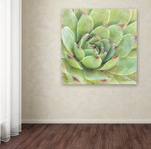 Load image into Gallery viewer, &#39;Garden Succulents IV Color&#39; Photographic Print on Wrapped Canvas
