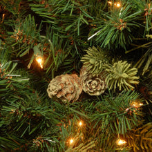 Load image into Gallery viewer, Isenhour Lighted Artificial Pine Christmas Tree, 7.5&#39; H

