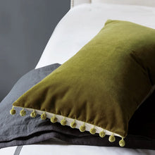 Load image into Gallery viewer, Jace Rectangular Velvet Pillow Cover &amp; Insert
