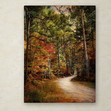 Load image into Gallery viewer, 24&quot; H x 18&quot; W Jai Johnson Autumn Forest 2 by Jai Johnson - Photograph on Canvas
