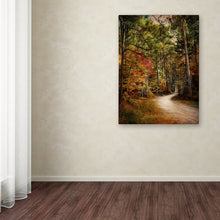 Load image into Gallery viewer, 24&quot; H x 18&quot; W Jai Johnson Autumn Forest 2 by Jai Johnson - Photograph on Canvas
