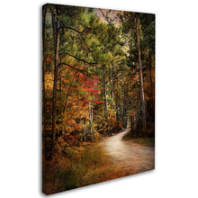Load image into Gallery viewer, 24&quot; H x 18&quot; W Jai Johnson Autumn Forest 2 by Jai Johnson - Photograph on Canvas

