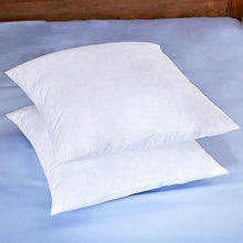 Load image into Gallery viewer, Javon Square Pillow Insert (Set of 2) 18&quot; x 18&quot;
