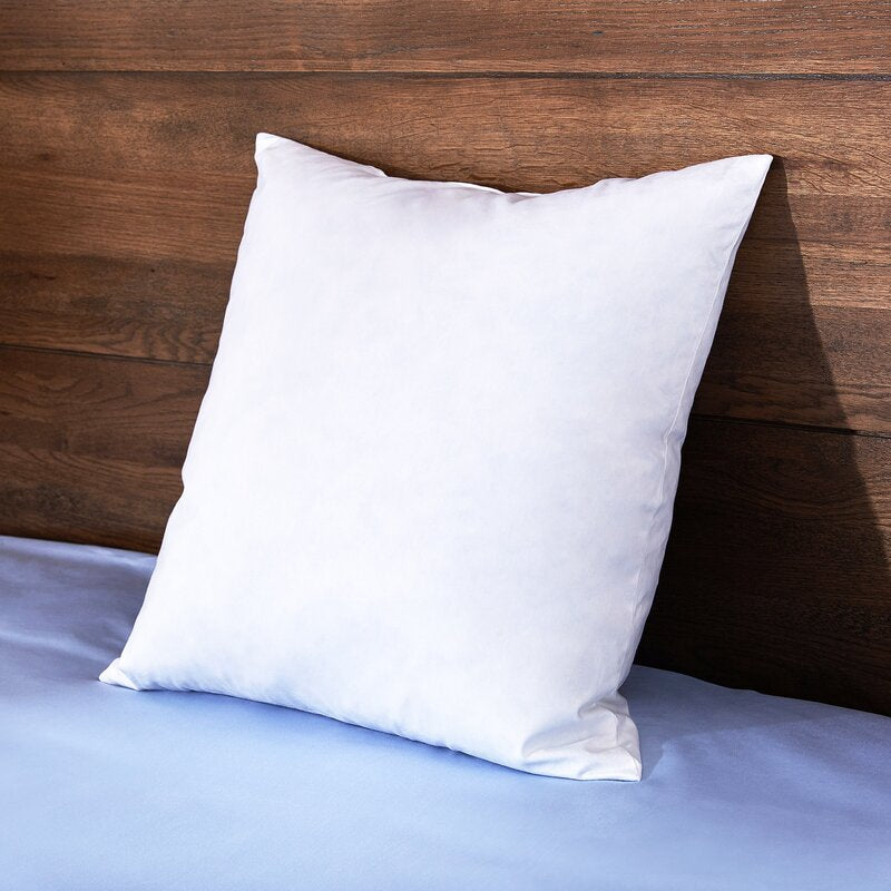 Javon Square Pillow Insert (Set of 2) 18