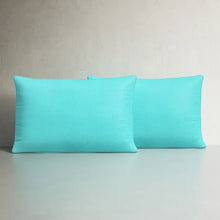 Load image into Gallery viewer, Julio Outdoor Rectangular Pillow Cover &amp; Insert (Set of 2)
