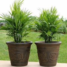 Load image into Gallery viewer, Kehlani Resin Pot Planter (Set of 2)
