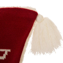 Load image into Gallery viewer, Kennard Tassels Pillow Cover
