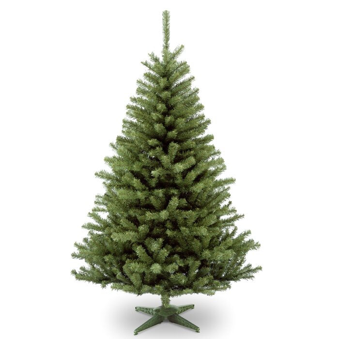 6' Un-Lit Green Spruce Christmas Tree, 6204