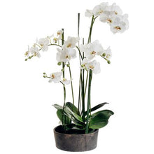 Load image into Gallery viewer, 37&quot; Handwrapped Phalaenopsis Orchid Silk Flower Arrangement -Cream/Green
