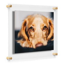 Load image into Gallery viewer, 11&quot; x 17&quot; Gold Lacey Floating Picture Frame 572CDR

