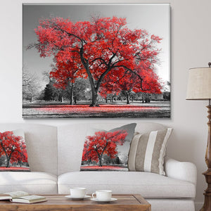 20" H x 40" W x 1" D Red/Gray Landscape 'Big Red Tree on Foggy Day' Photograph 7580