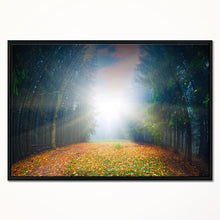 Load image into Gallery viewer, Landscape &#39;Rising Sun over Colorful Forest&#39; Framed Photographic Print on Wrapped Canvas #1434HW
