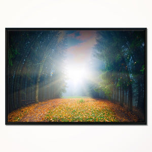 Landscape 'Rising Sun over Colorful Forest' Framed Photographic Print on Wrapped Canvas #1434HW