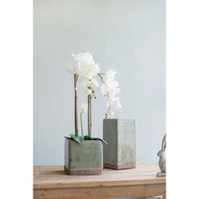 Load image into Gallery viewer, 6.3&quot; H x 6.3&quot; W x 6.3&quot; D Lavalley 100% Ceramic Planter Box

